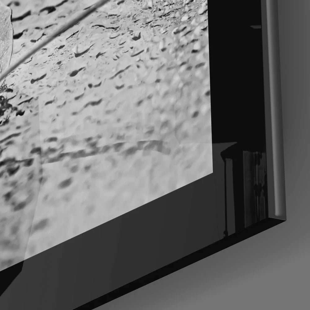 Black-and-white lunar surface in stunning glass wall art