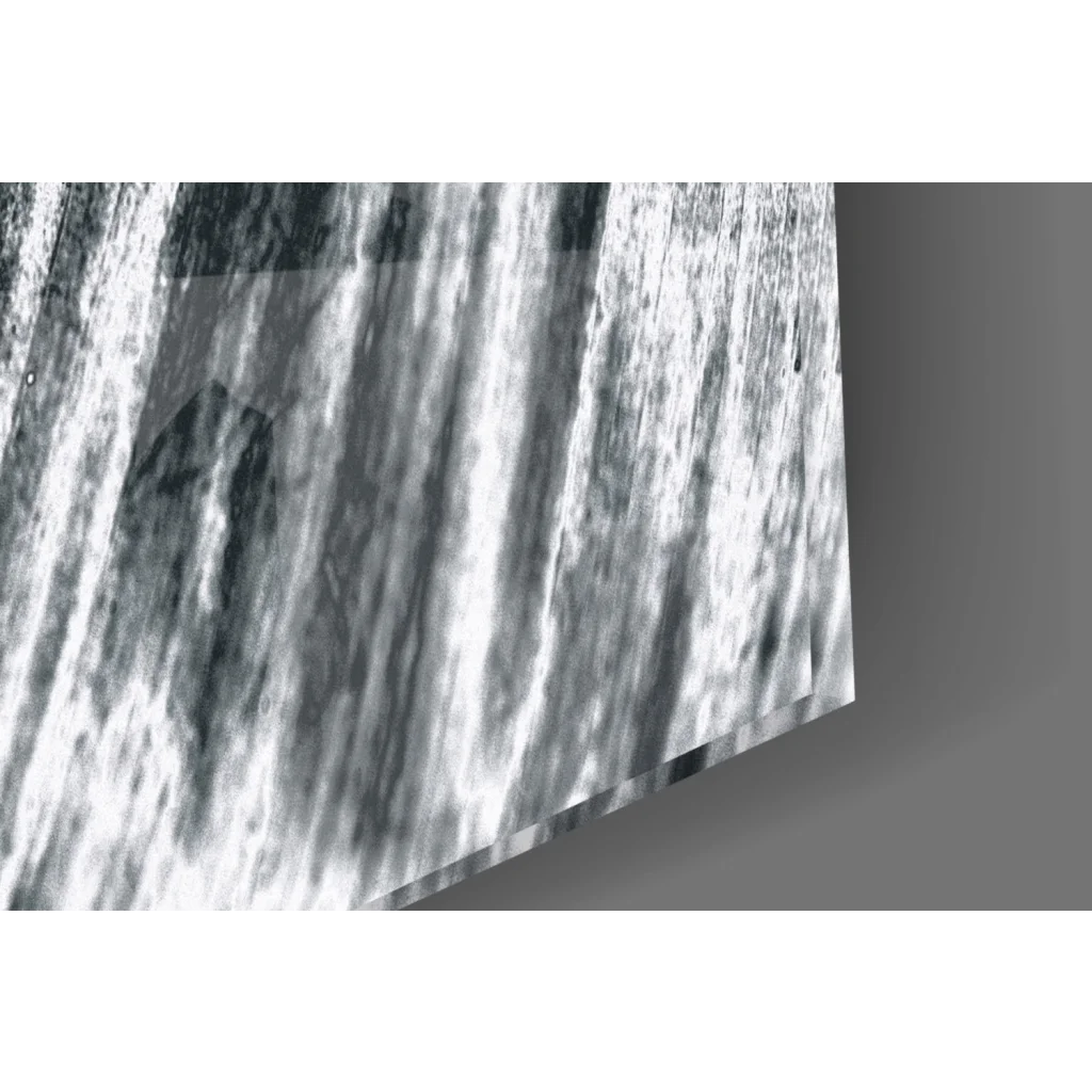 Bold abstract leaf glass wall art with textured monochrome streaks