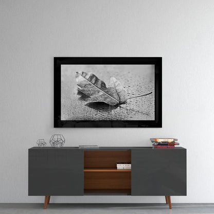 Black and white lunar maple leaf on wet glass wall art