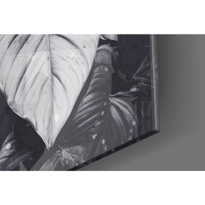 Black and white framed tropical leaves wall art with dewy veined details