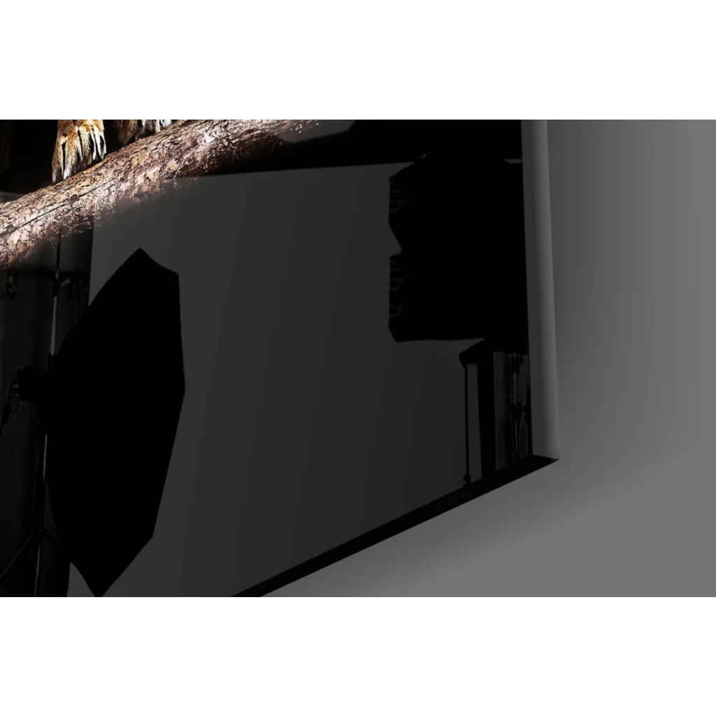 Majestic Lion Pair glass wall art with dark textured tree branch on white backdrop