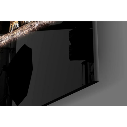 Majestic Lion Pair glass wall art with dark textured tree branch on white backdrop