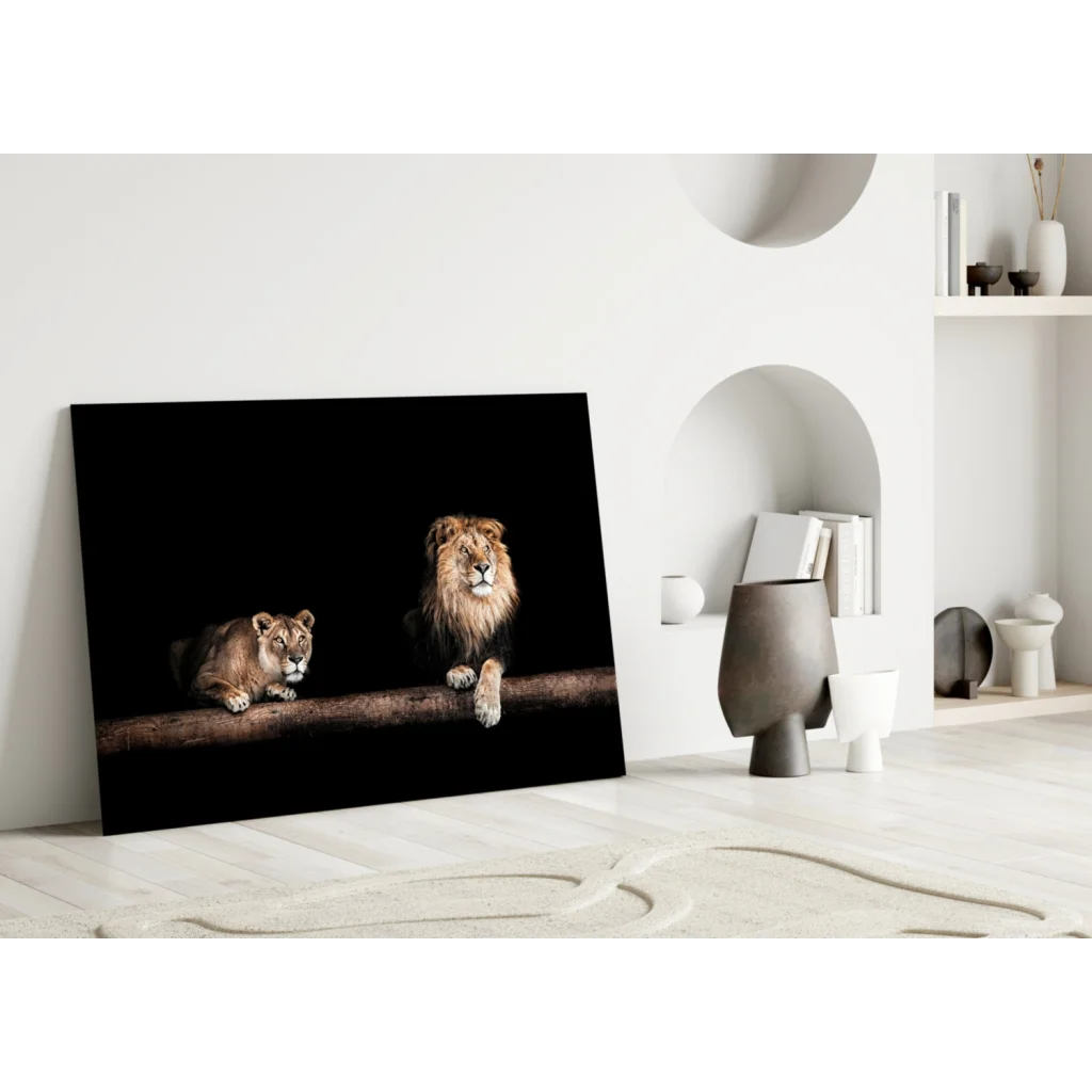 Majestic lion pair on black canvas, glass wall art print