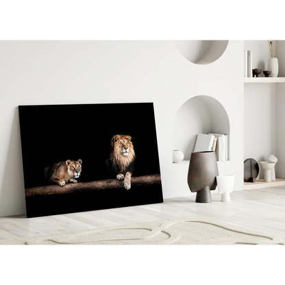 Majestic lion pair on black canvas, glass wall art print