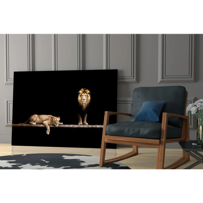 Majestic lion pair glass wall art canvas print with black canvas background