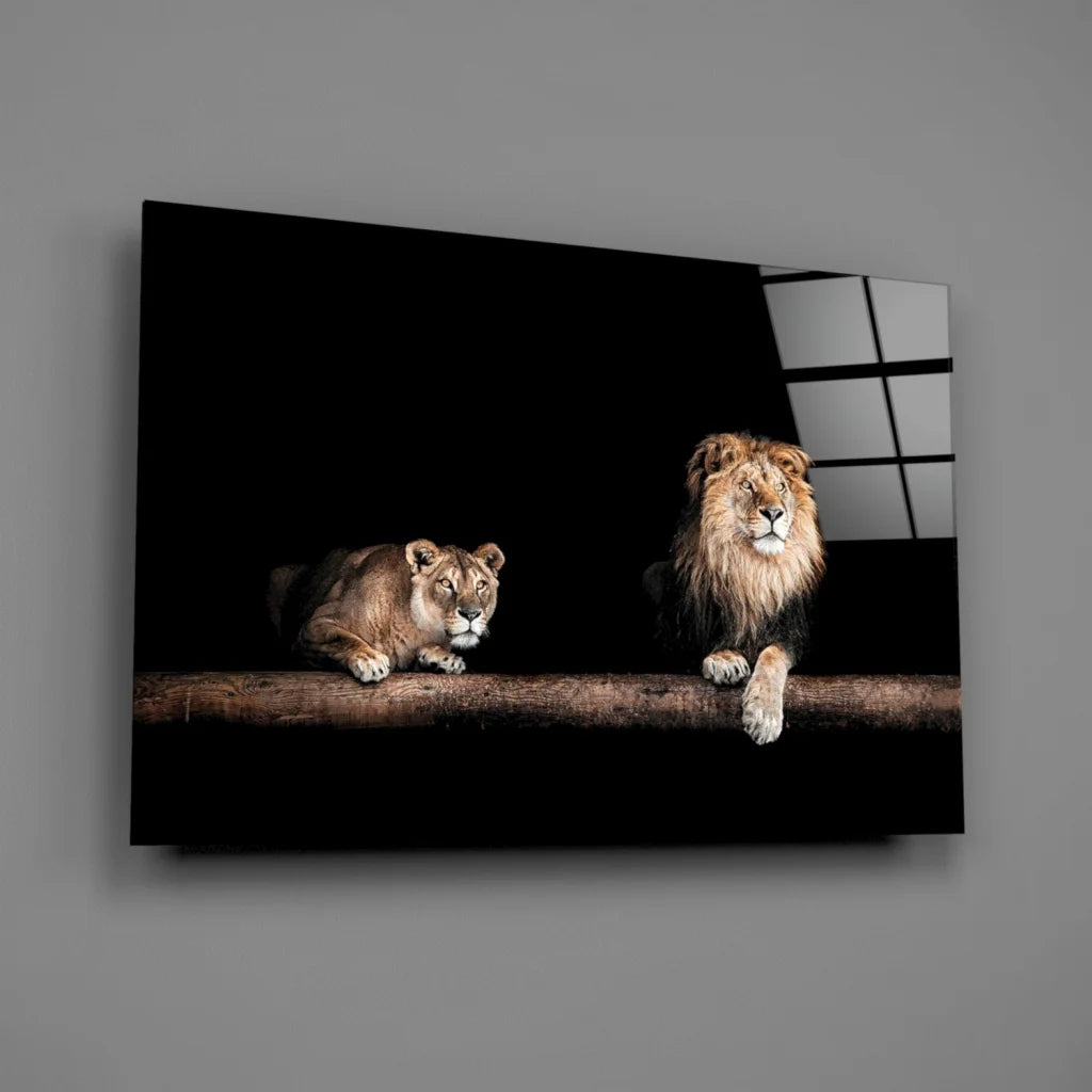 Majestic lion pair glass wall art on black-framed canvas