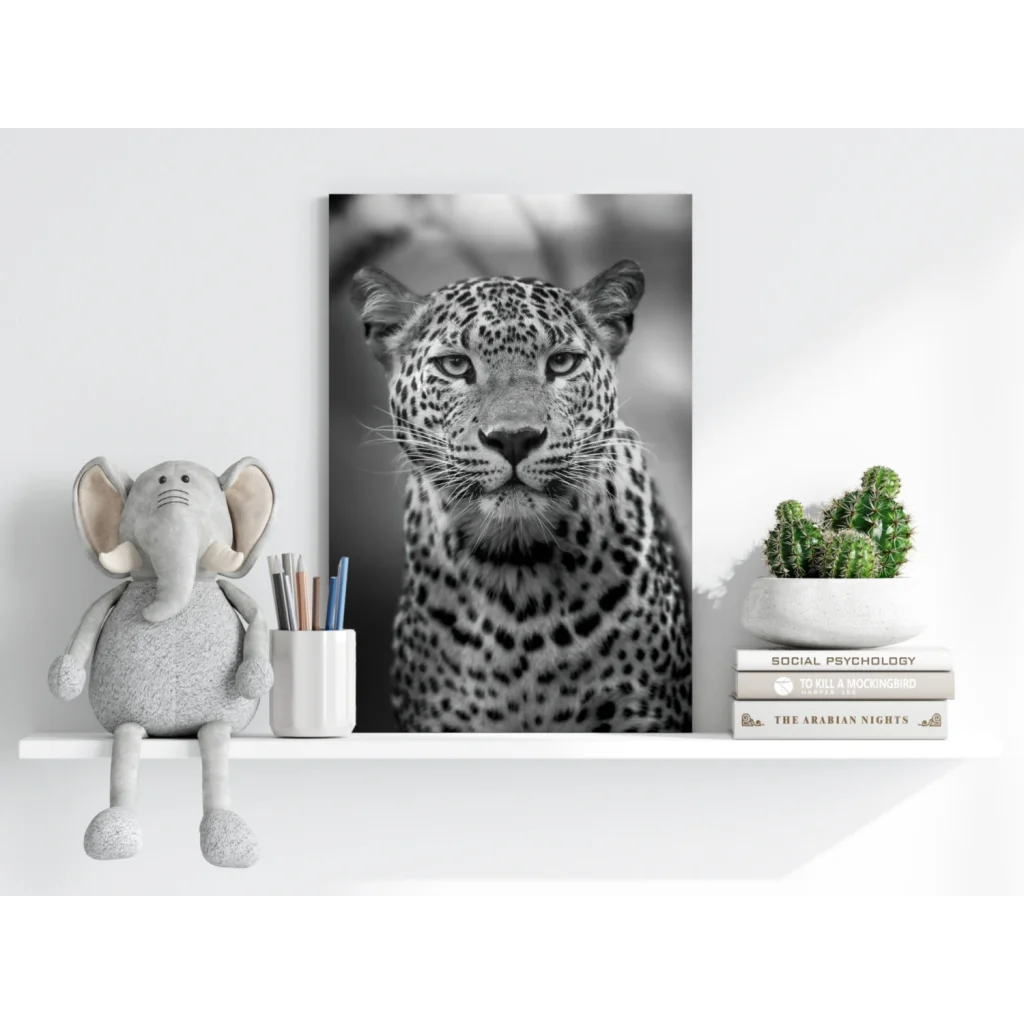 Black-and-white leopard gaze on insigne aluminum print