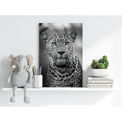 Black-and-white leopard gaze on insigne aluminum print