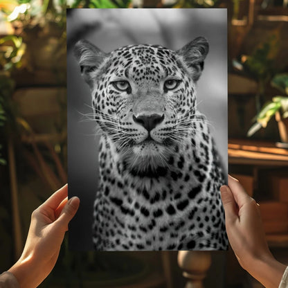 Black-and-white leopard gaze on insigne aluminum print