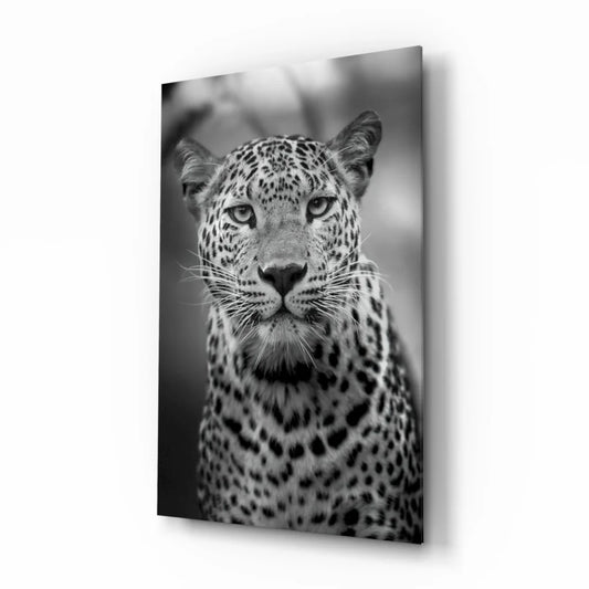 Stunning Leopard Glass Wall Art Portrait in Bold Black and White | Insigneart USA | vintageantiquesgifts.com