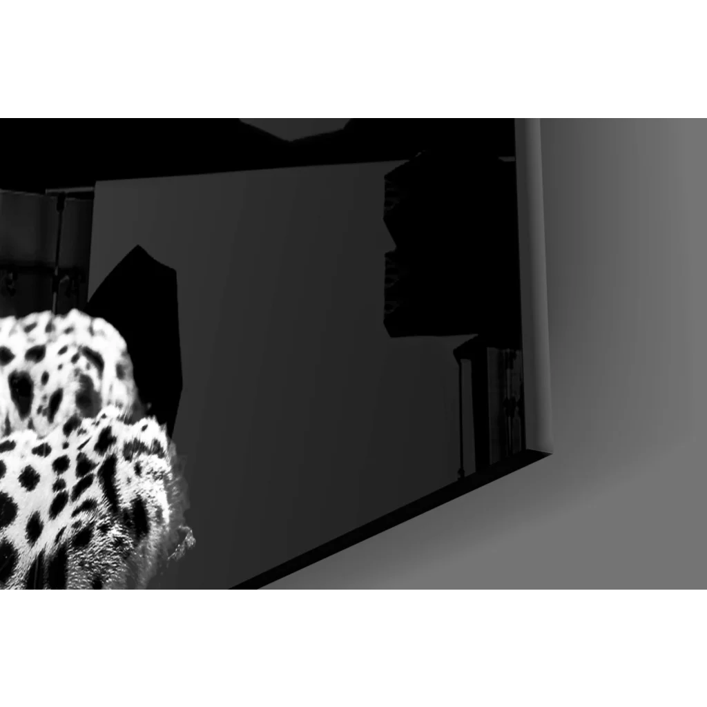 Black and white leopard spotted canvas wall art