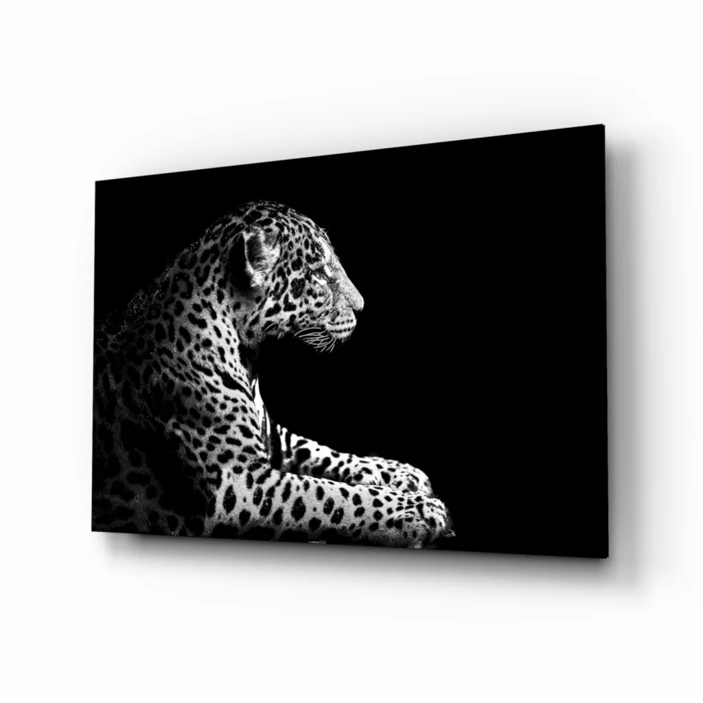 Black and white leopard spotted canvas wall art print