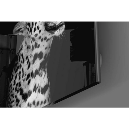 Black and white roaring leopard glass wall art print