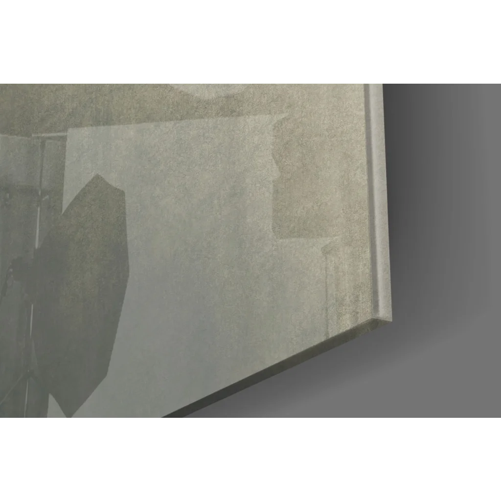 Sepia elongated nose portrait on sleek minimalist glass wall art mirror