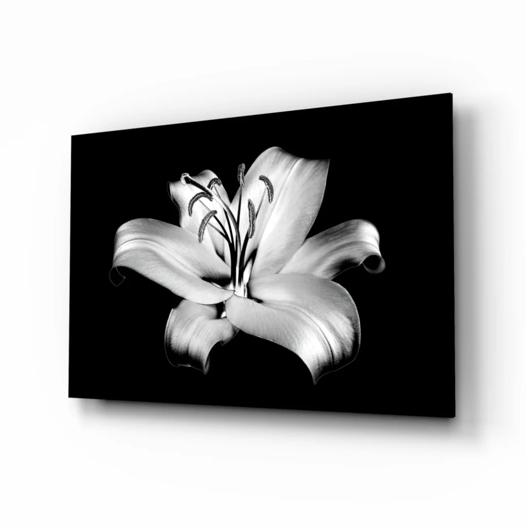 Elegant Lily Black and White Canvas Wall Art Print | Insigneart USA | vintageantiquesgifts.com