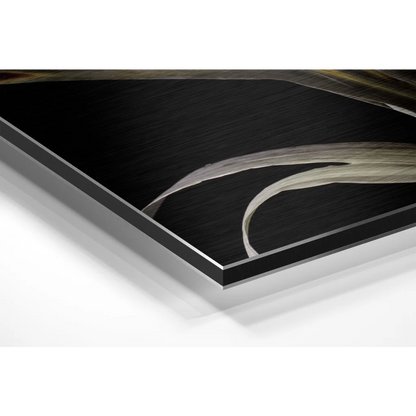 Stunning Brushed Aluminium Dibond Abstract Art Prints | Glass Wall Art Print | vintageantiquesgifts.com
