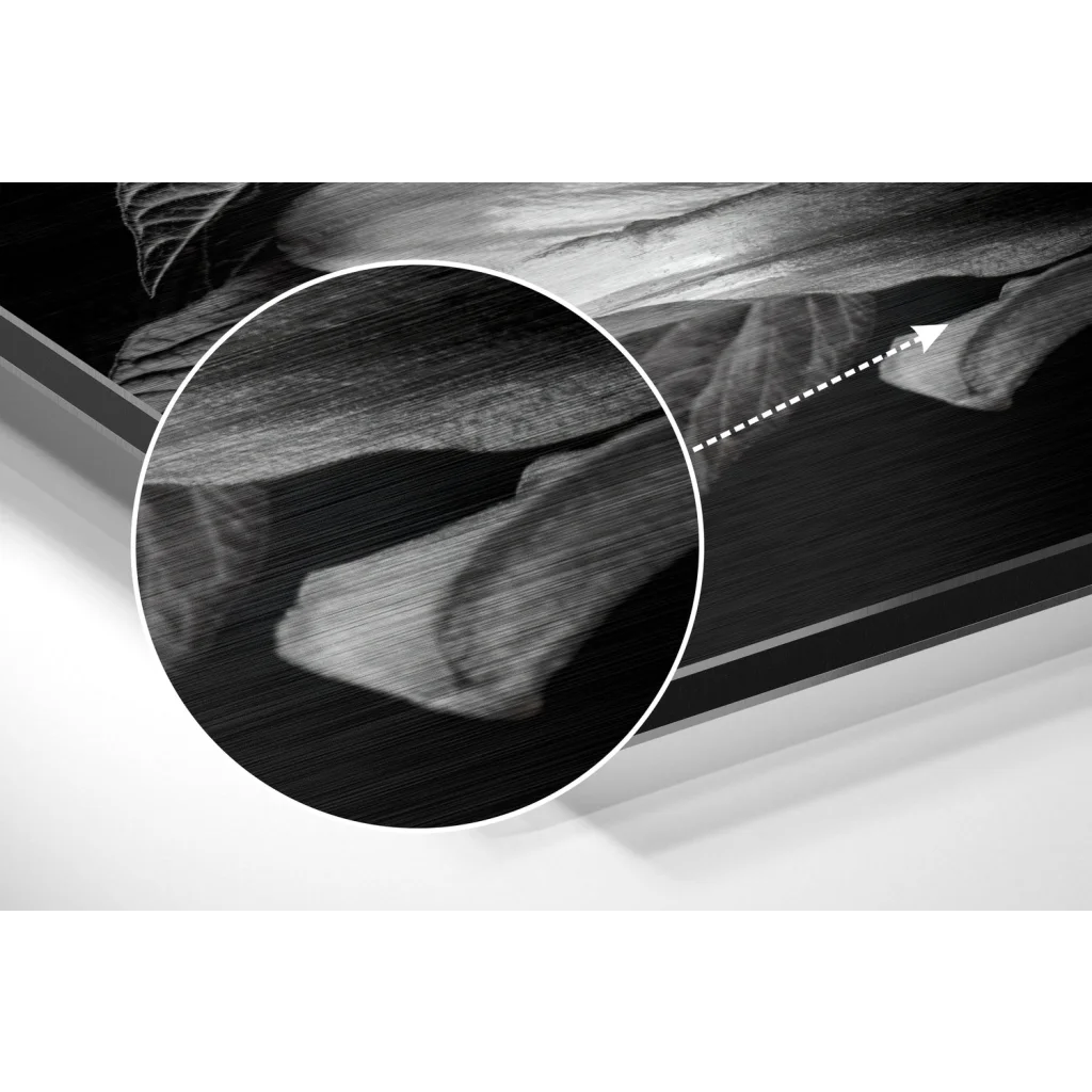 Black-and-white anatomical foot art print on brushed aluminium dibond