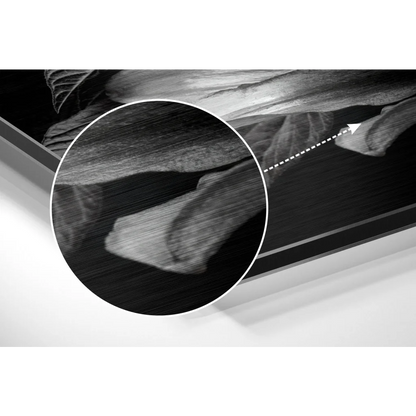 Black-and-white anatomical foot art print on brushed aluminium dibond