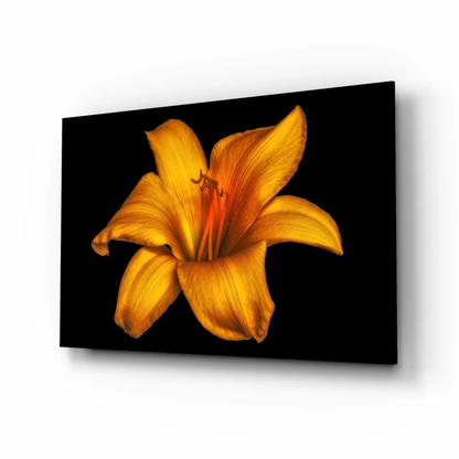 Stunning yellow lily glass wall art on sleek black canvas