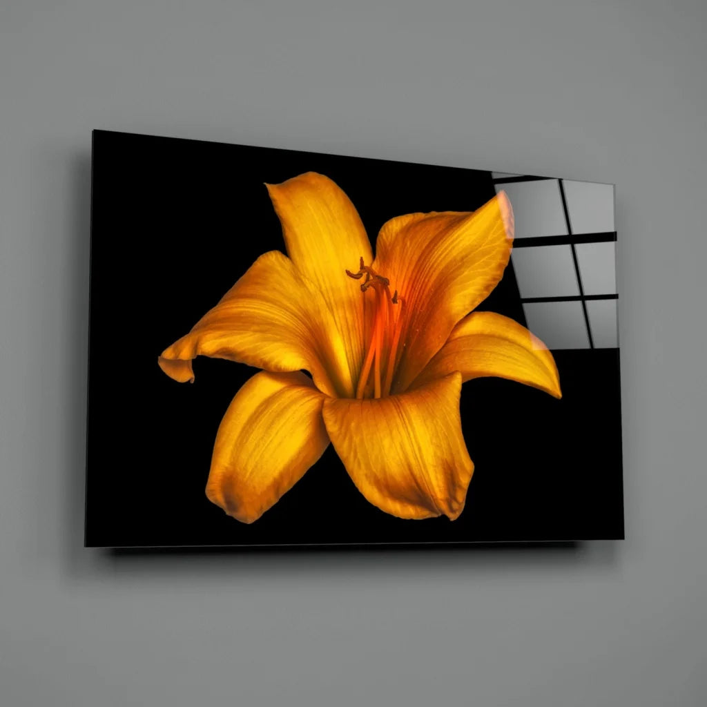Vibrant yellow lily glass wall art on sleek black canvas