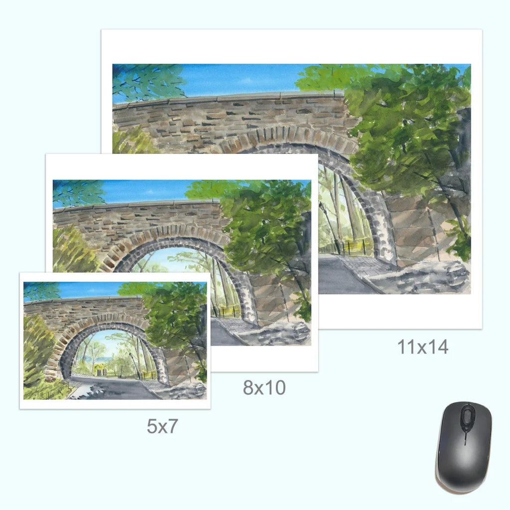 Linden Terrace Arch 11x14 canvas print with green foliage and blue sky