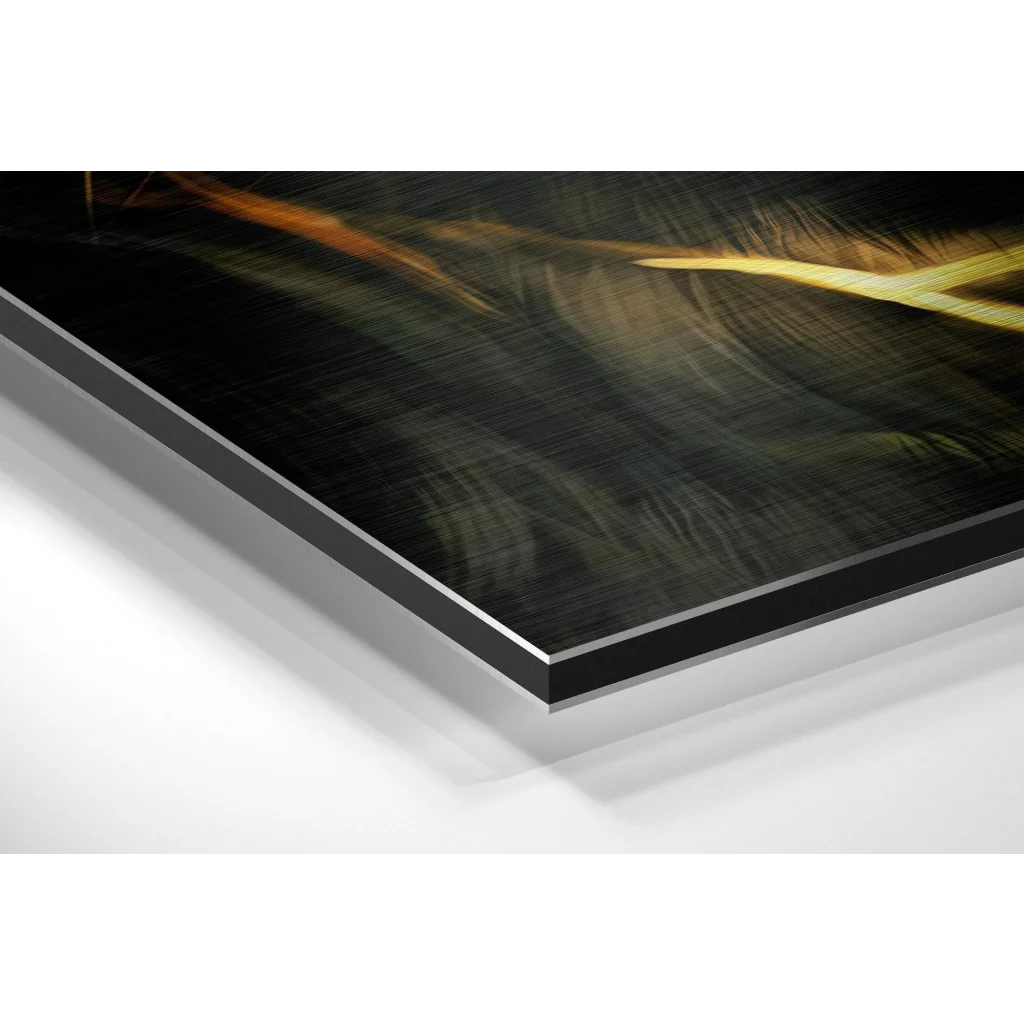 Golden Lightning Lion on brushed aluminium dibond print