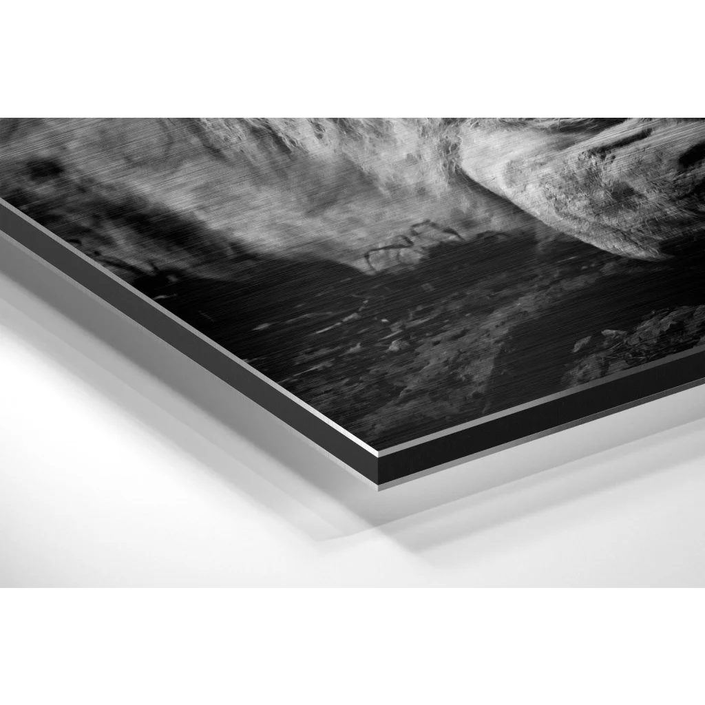 Lion Brushed Aluminium Dibond Wall Art