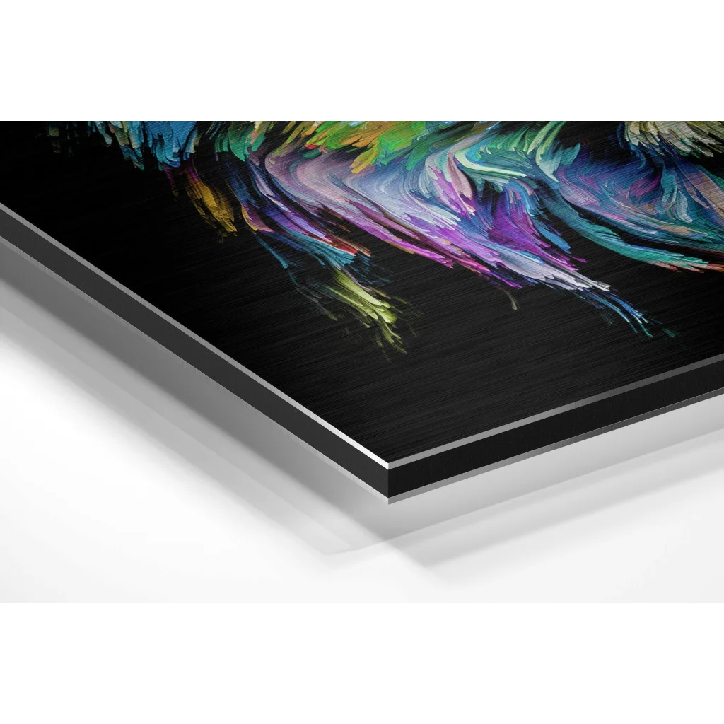 Vibrant abstract feather on brushed aluminium dibond panel
