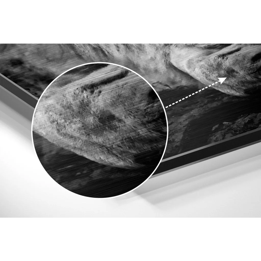 glass wall art Lion Brushed Aluminium Dibond Wall Art