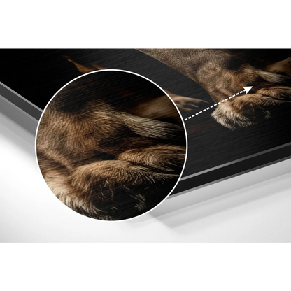 Close-up of brown textured dog paws on brushed aluminium dibond print