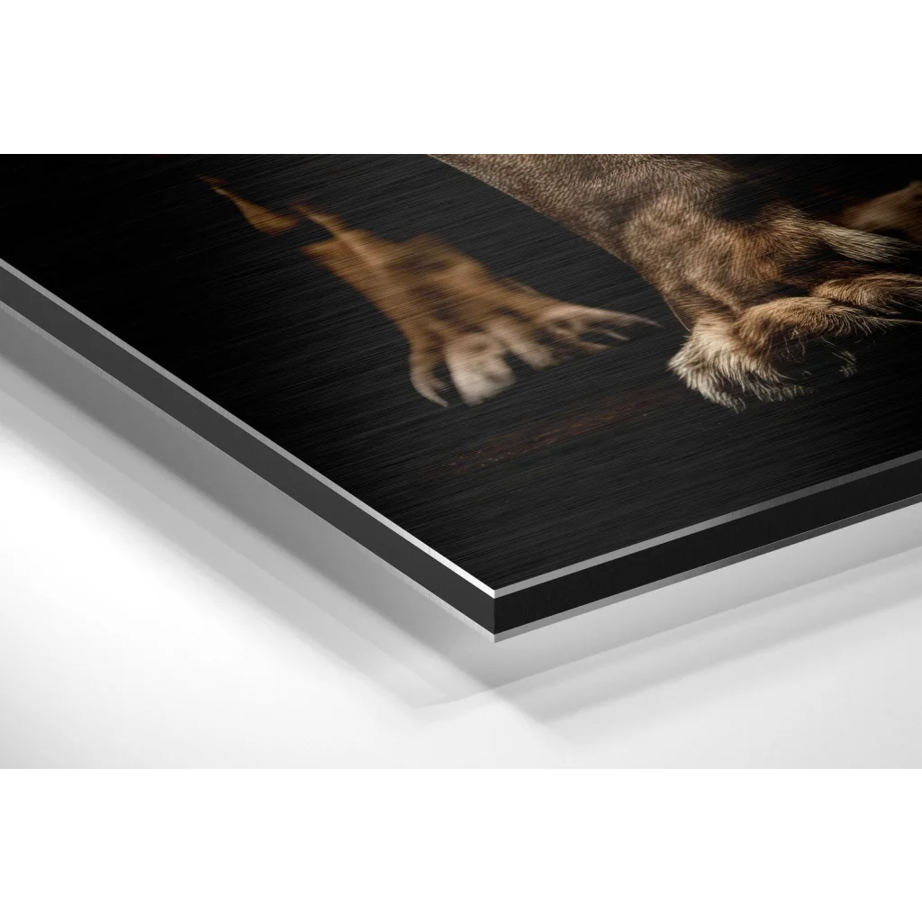 Glass Wall Art Close-up of brown furry paws on brushed aluminium dibond print
