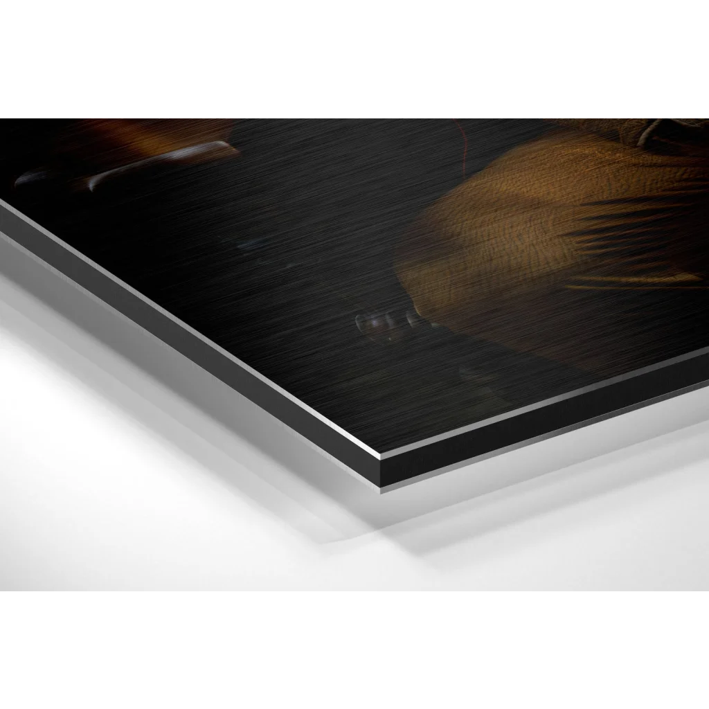 Regal Lion brushed aluminium dibond wall art print