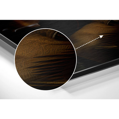 Regal Lion brushed aluminium dibond wall art on dark wood-grain surface