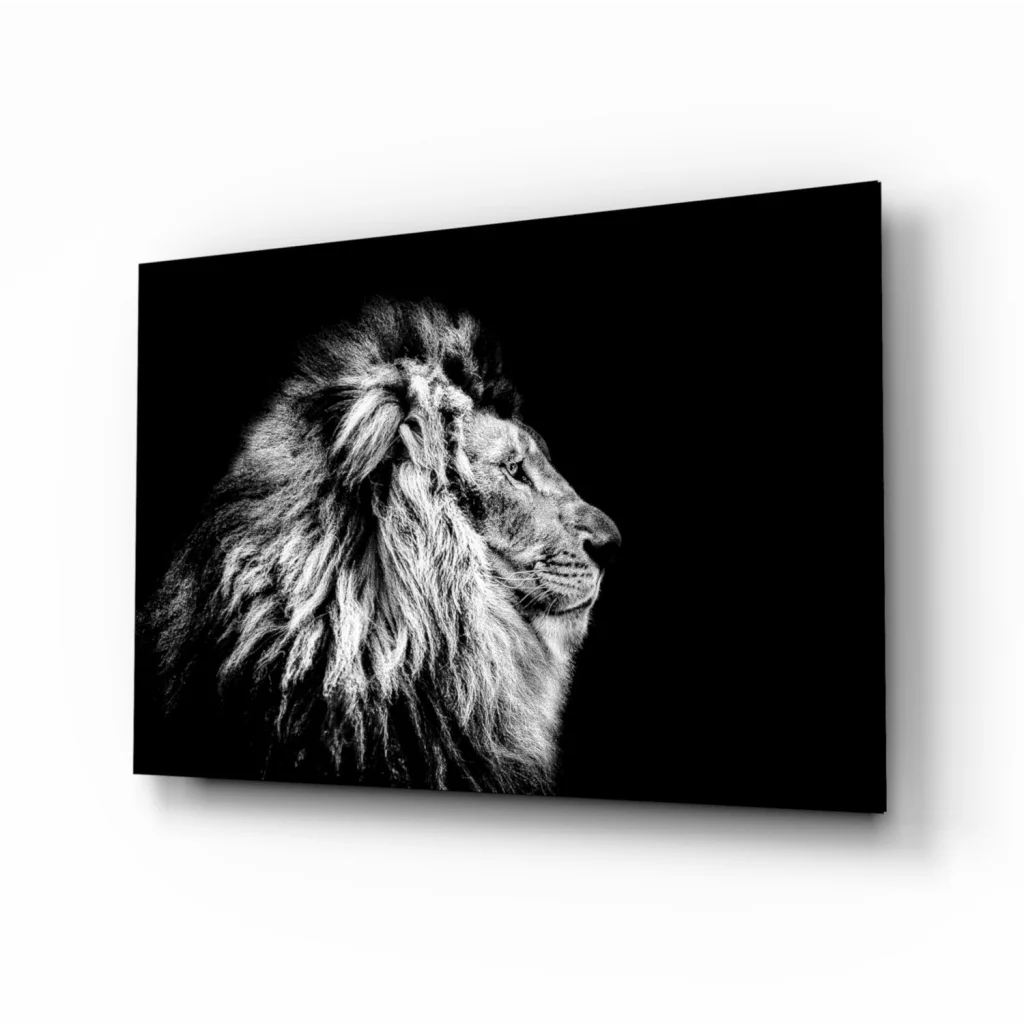 Majestic black-and-white lion profile canvas wall art