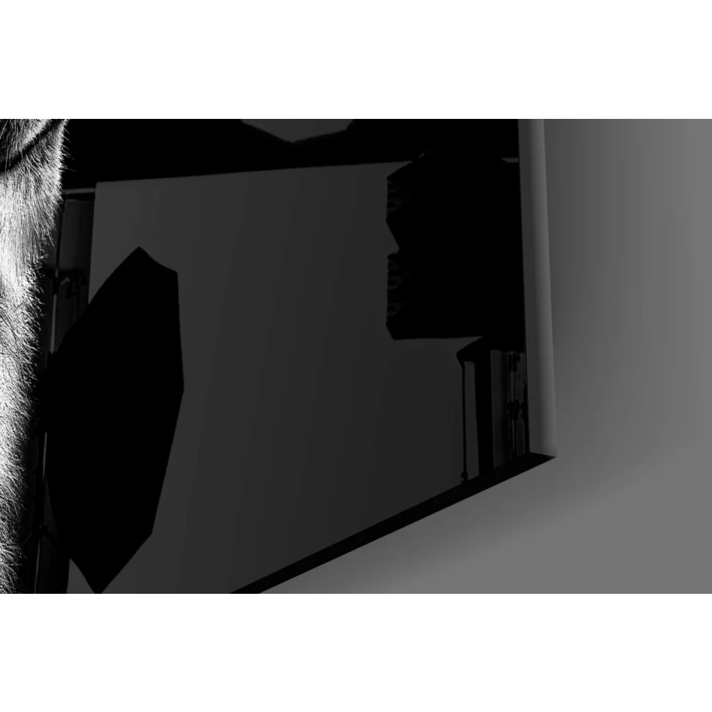 Black and white majestic lion profile wall art with octagonal softbox light