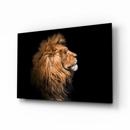 Majestic lion wall art canvas print with golden mane on black