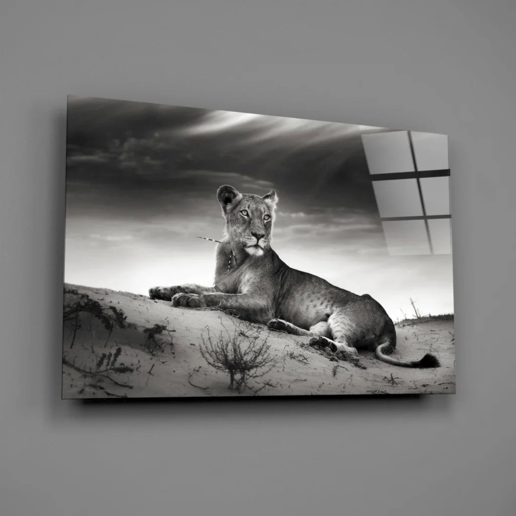 Majestic lioness resting on sand under dramatic skies black and white wall art