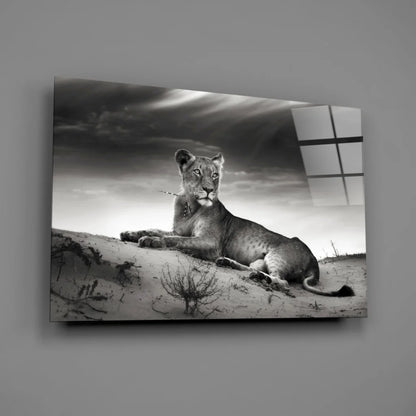 Majestic lioness resting on sand under dramatic skies black and white wall art