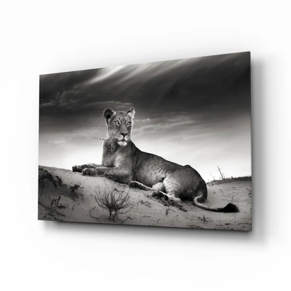 Majestic lioness resting on sand under dramatic skies black and white wall art