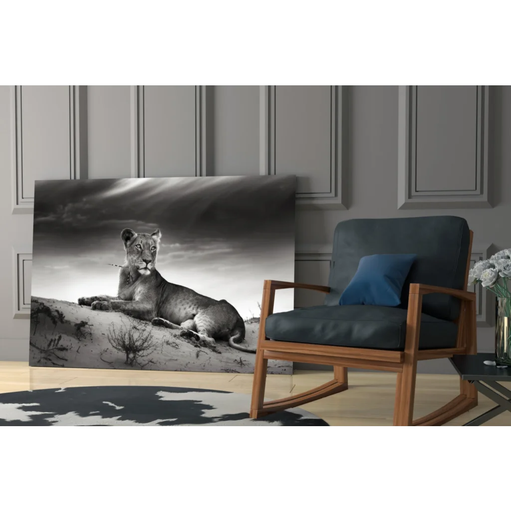 Majestic lioness black and white canvas wall art on rocky terrain