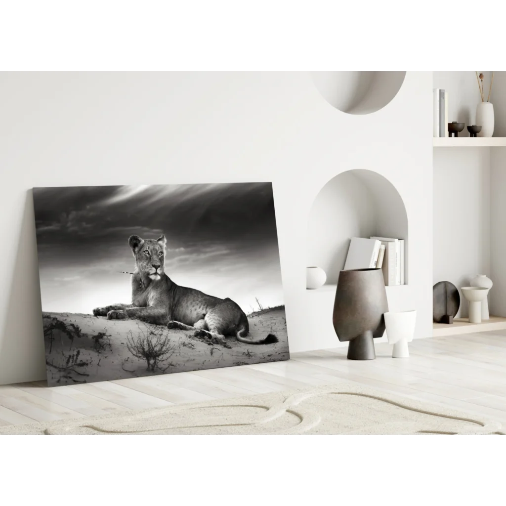 Majestic lioness black and white canvas wall art on sand