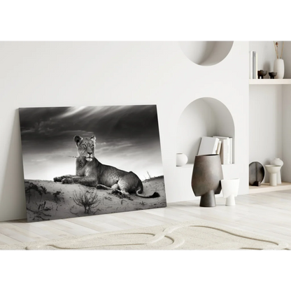 Majestic lioness black and white canvas wall art on sand