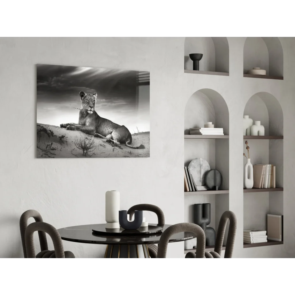 Majestic lioness black and white canvas wall art on sand