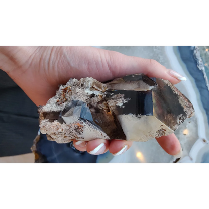 Hand holding lodalite included smoky quartz cluster from Brazil