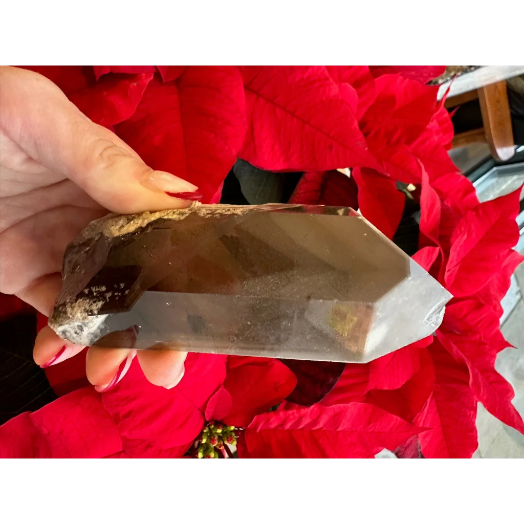 Lodalite included smoky quartz crystal point from Brazil