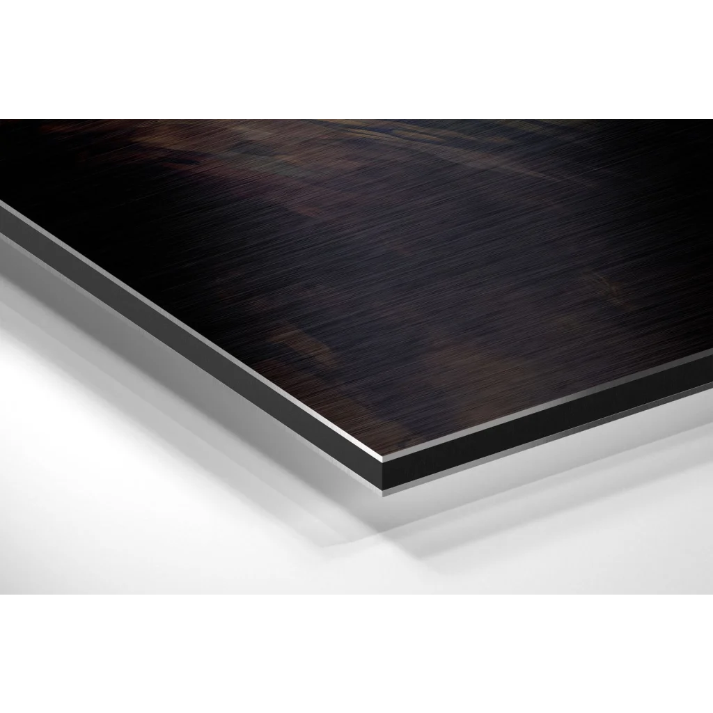 Glass Wall Art Leonardo da Vinci brushed aluminium dibond wall art print