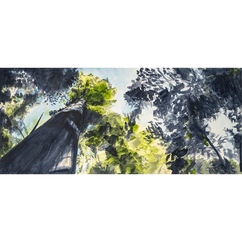 Majestic Armstrong Redwoods green leafy tree watercolor art print