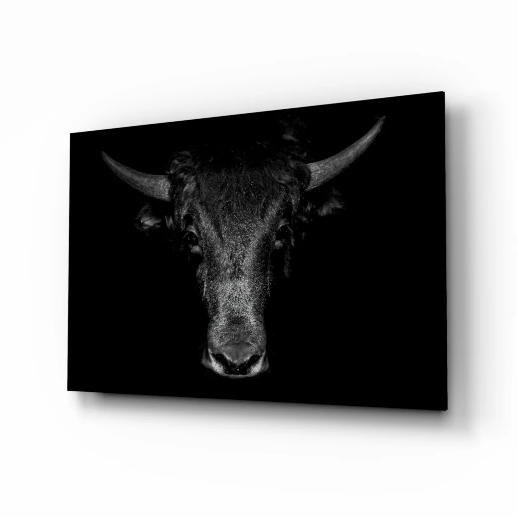 Majestic black-and-white bull face canvas wall art close-up
