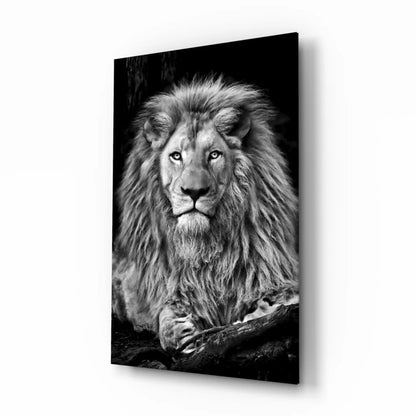 Striking black and white lion glass wall art canvas print