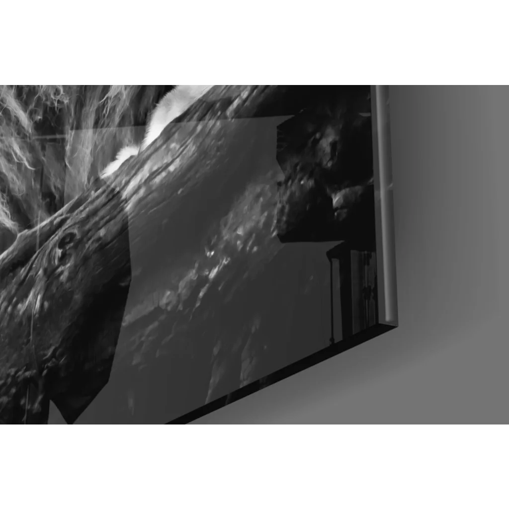 Majestic Lion glass wall art in black and white on 4K OLED TV